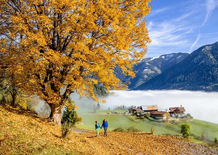 Alpine Appart