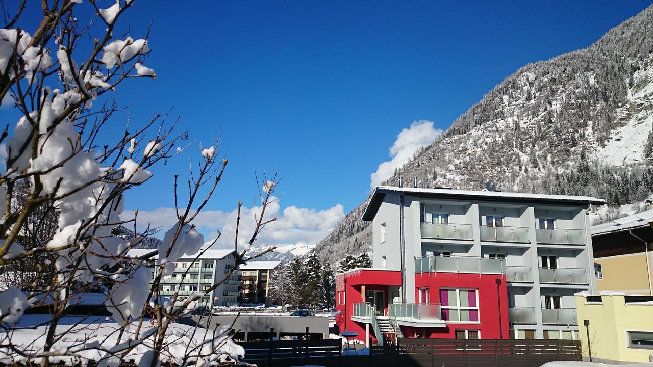 Alpine Appart 3*